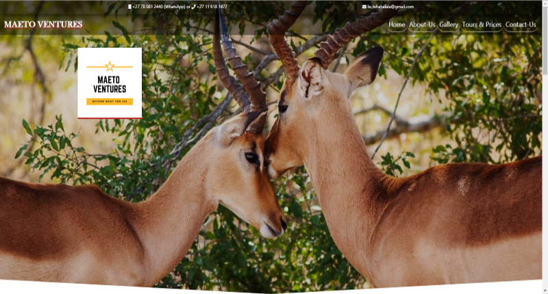 Tour Guide Website Template Image